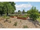 2815 124TH Ave - Photo 30