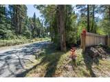 53580 Morrison Rd - Photo 11