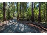 53580 Morrison Rd - Photo 13
