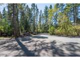 53580 Morrison Rd - Photo 17