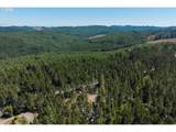 53580 Morrison Rd - Photo 24