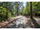 53580 Morrison Rd - Photo 4