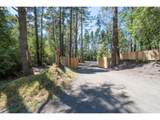 53580 Morrison Rd - Photo 5
