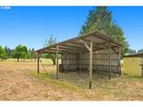 11317 Charter Oak Rd - Photo 16