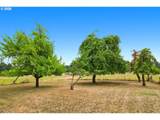 11317 Charter Oak Rd - Photo 31