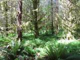  Hockett Rd - Photo 18