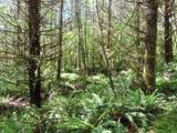  Hockett Rd - Photo 22