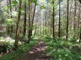  Hockett Rd - Photo 23