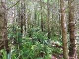  Hockett Rd - Photo 24