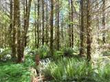 Hockett Rd - Photo 28