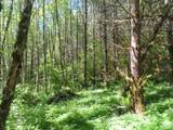  Hockett Rd - Photo 9