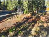 29 Trout Lake Park Rd - Photo 19