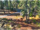 29 Trout Lake Park Rd - Photo 22
