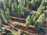 29 Trout Lake Park Rd - Photo 24