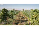 52201 County Rd - Photo 5