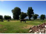 46064 Schoolhouse Rd - Photo 40