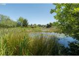 90431 Lewis Rd - Photo 22