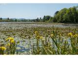 90431 Lewis Rd - Photo 24