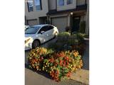 13949 Beavercreek Rd - Photo 5
