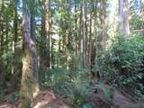  State Route 101 - Photo 11