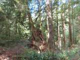  State Route 101 - Photo 15