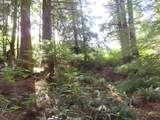  State Route 101 - Photo 20