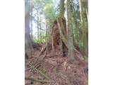  State Route 101 - Photo 26