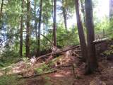 State Route 101 - Photo 27