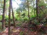  State Route 101 - Photo 28
