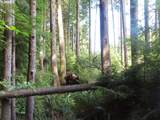  State Route 101 - Photo 4
