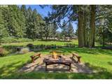 25699 Springwater Rd - Photo 31