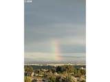 30335 Joy Ln - Photo 47