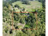28500 Ruth Ln - Photo 3
