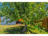 2449 Oak St - Photo 31