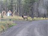 64796 Wapiti Ln - Photo 25