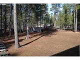 53425 Kokanee Ln - Photo 21