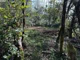  Mountain Dr - Photo 3