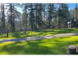 29358 Salo Rd - Photo 4