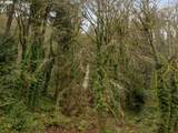 5135 Saint Helens Rd - Photo 36