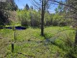  Wiley Creek Rd - Photo 10