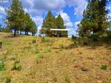  Wiley Creek Rd - Photo 9