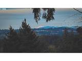 20431 Edy Rd - Photo 8