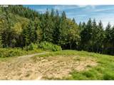 239 Junco Ln - Photo 1