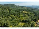 239 Junco Ln - Photo 10