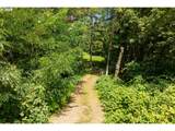 239 Junco Ln - Photo 12