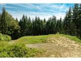 239 Junco Ln - Photo 13