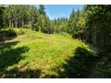 239 Junco Ln - Photo 14