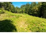 239 Junco Ln - Photo 15