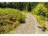 239 Junco Ln - Photo 16