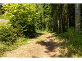 239 Junco Ln - Photo 17